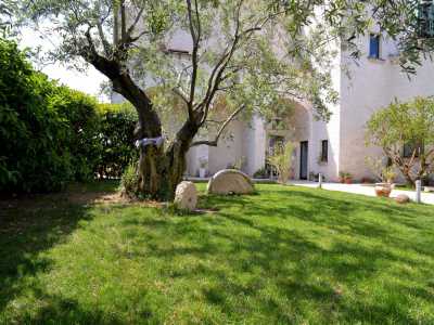 Tutt�intorno ulivi, siepi e arbusti. L�ampio giardino che circonda la masseria � un tripudio di verde ma non solo...
